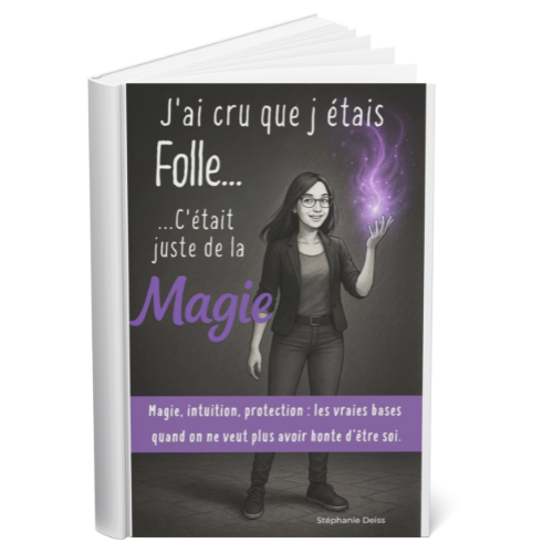 Couverture Madame Ebook 1
