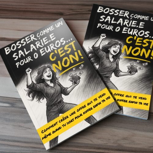 Exemple de couverture illustrée Madame Ebook